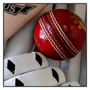 Cricket 101